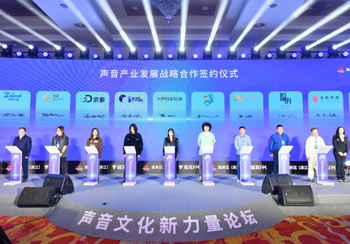 太醫(yī)溫實(shí)初現(xiàn)身杭州，數(shù)字內(nèi)容制作大咖齊聚，共探聲音藝術(shù)新篇章